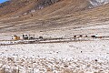 Ranch at Silverado Mountain
