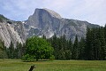 Half Dome