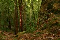 View from Tafoni Trail