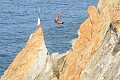 Acapulco cliff divers