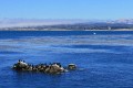 Monterey Bay