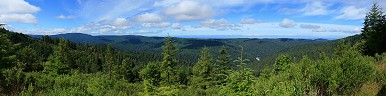 Redwood National Park Panorama