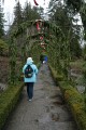 Butchart Gardens
