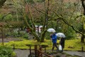 Butchart Gardens
