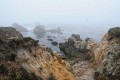 Foggy coast