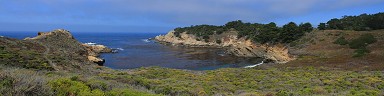 Headland Cove panorama