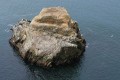 Rocks south of Point Reyes East