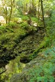 Purisima Creek