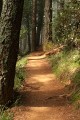 Coastal Trail