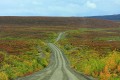 Denali Highway