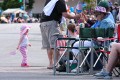 Parade spectators