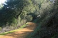 Rancho San Antonio O.S.P. - February 17, 2008