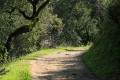 High Meadow Trail