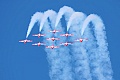 Canadian Snowbirds (CT-114 Tutor jets)