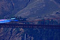 Fry's Patriots near the Golden Gate Bridge