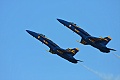 Blue Angels (F/A-18 Hornet)