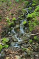 Uvas Canyon Park Waterfall