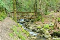 Waterfall Loop Trail