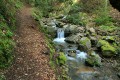 Waterfall Loop Trail