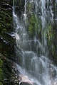 Berry Creek Falls