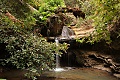 Big Basin Redwoods State Park - June 20, 2009