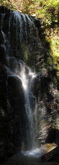 Berry Creek Falls