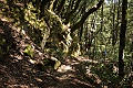 El Corte de Madera Open Space Preserve - March 29, 2009