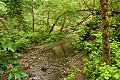 Pescadero Creek County Park - May 24, 2009