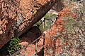 Pinnacles National Monument - March 21, 2009