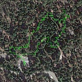 Grant Grove Google Map