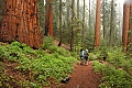 Sequoia and Kings Canyon National Parks - June 5-8, 2009