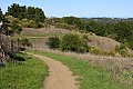 Windy Hill Open Space Preserve - November 8, 2009