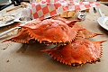 Annapolis - crab lunch at Buddys