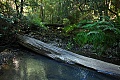 Opal Creek