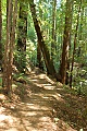 Skyline-to-the-Sea Trail