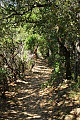 Skyline-to-the-Sea Trail