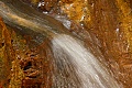 Golden Falls