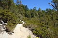 Sunset Trail