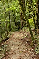 Skyline-to-the-Sea Trail