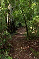 Skyline-to-the-Sea Trail