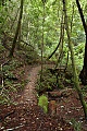 Skyline-to-the-Sea Trail