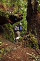 Skyline-to-the-Sea Trail "duckunder"