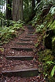 Skyline-to-the-Sea Trail