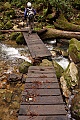 Diane crosses West Waddell Creek