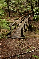 Bridge over West Waddell Creek