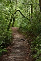 Sunset Trail