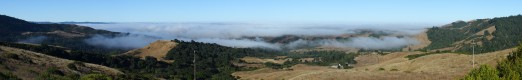 Coastal fog