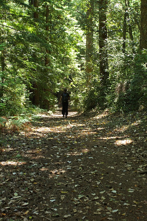 Matt walks the Olmo Fire Road