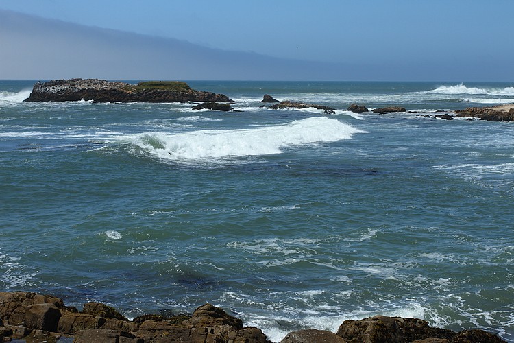 Pescadero Beach