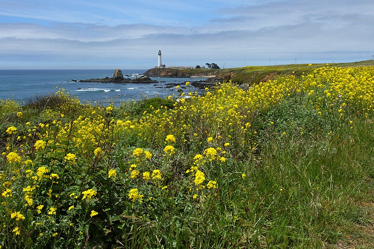 Pigeon Point Lighthouse